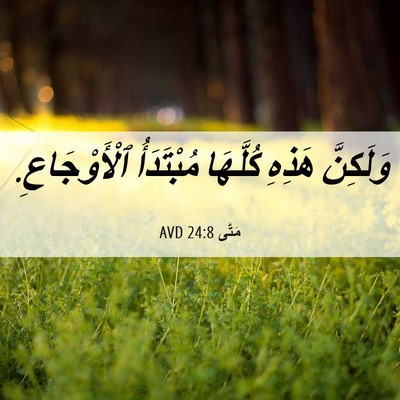 Picture 06 - مَتَّى 24:8 AVD - وَلَكِنَّ هَذِهِ كُلَّهَا - Bible Verse Picture