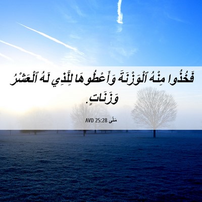 Picture 06 - مَتَّى 25:28 AVD - فَخُذُوا مِنْهُ - Bible Verse Picture