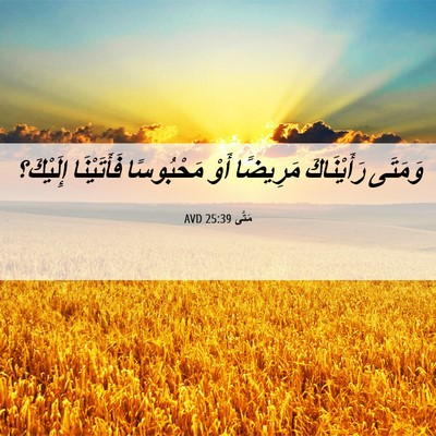 Picture 06 - مَتَّى 25:39 AVD - وَمَتَى رَأَيْنَاكَ - Bible Verse Picture