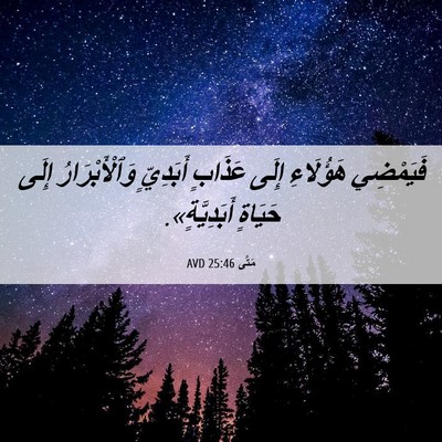Picture 06 - مَتَّى 25:46 AVD - فَيَمْضِي هَؤُلَاءِ إِلَى - Bible Verse Picture