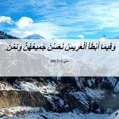 Picture 06 - مَتَّى 25:5 AVD - وَفِيمَا أَبْطَأَ - Bible Verse Picture