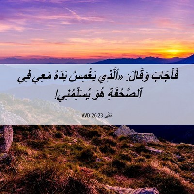 Picture 06 - مَتَّى 26:23 AVD - فَأَجَابَ وَقَالَ: - Bible Verse Picture