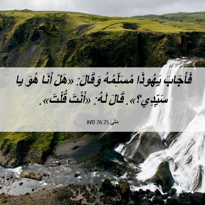 Picture 06 - مَتَّى 26:25 AVD - فَأَجَابَ يَهُوذَا - Bible Verse Picture