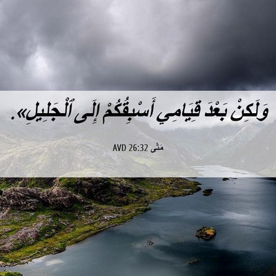 Picture 06 - مَتَّى 26:32 AVD - وَلَكِنْ بَعْدَ قِيَامِي - Bible Verse Picture