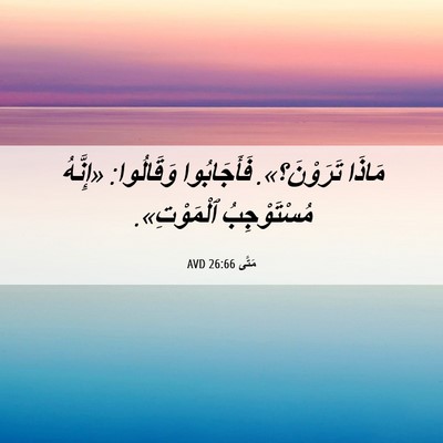 Picture 06 - مَتَّى 26:66 AVD - مَاذَا تَرَوْنَ؟». - Bible Verse Picture