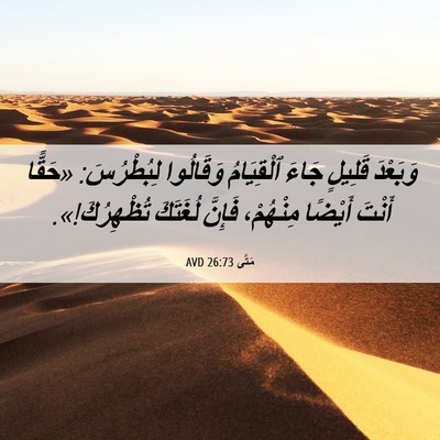 Picture 06 - مَتَّى 26:73 AVD - وَبَعْدَ قَلِيلٍ جَاءَ - Bible Verse Picture