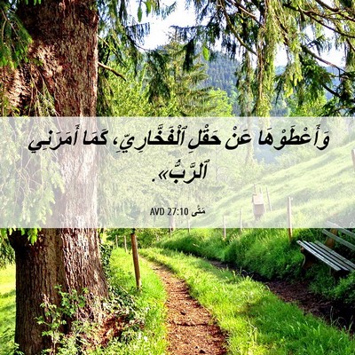 Picture 06 - مَتَّى 27:10 AVD - وَأَعْطَوْهَا عَنْ حَقْلِ - Bible Verse Picture