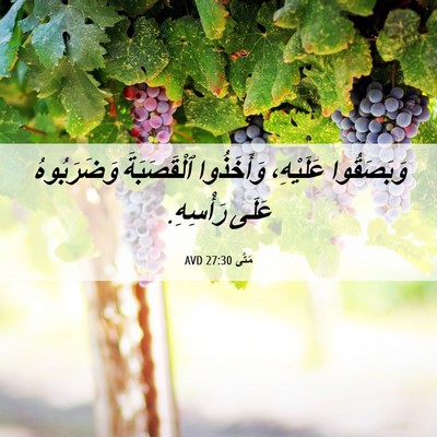 Picture 06 - مَتَّى 27:30 AVD - وَبَصَقُوا عَلَيْهِ، - Bible Verse Picture