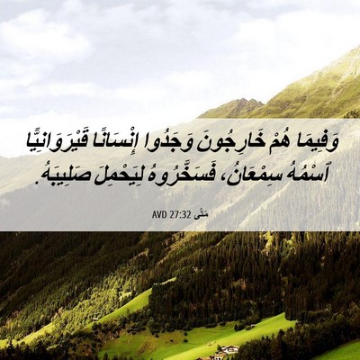Picture 06 - مَتَّى 27:32 AVD - وَفِيمَا هُمْ خَارِجُونَ - Bible Verse Picture