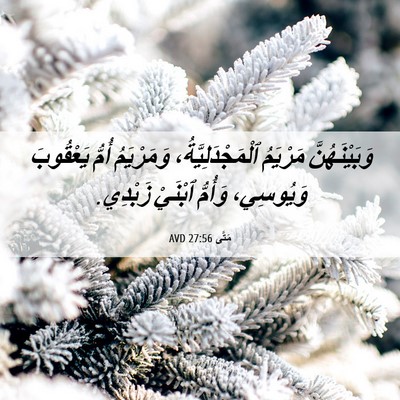 Picture 06 - مَتَّى 27:56 AVD - وَبَيْنَهُنَّ مَرْيَمُ - Bible Verse Picture