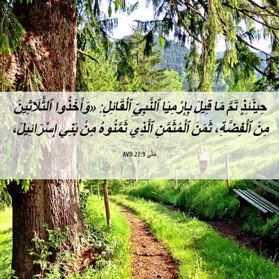 Picture 06 - مَتَّى 27:9 AVD - حِينَئِذٍ تَمَّ مَا قِيلَ - Bible Verse Picture