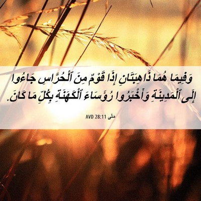 Picture 06 - مَتَّى 28:11 AVD - وَفِيمَا هُمَا - Bible Verse Picture