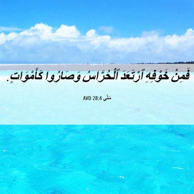 Picture 06 - مَتَّى 28:4 AVD - فَمِنْ خَوْفِهِ ٱرْتَعَدَ - Bible Verse Picture
