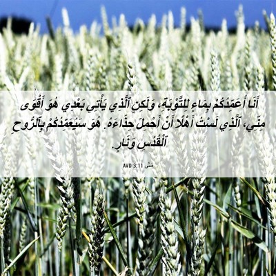 Picture 06 - مَتَّى 3:11 AVD - أَنَا أُعَمِّدُكُمْ - Bible Verse Picture