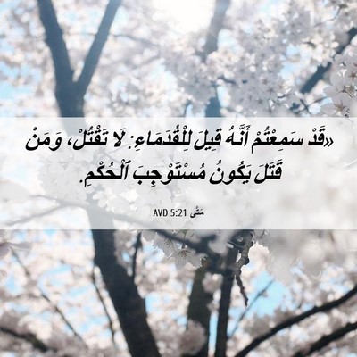 Picture 06 - مَتَّى 5:21 AVD - «قَدْ سَمِعْتُمْ أَنَّهُ - Bible Verse Picture