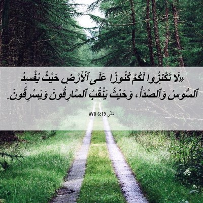 Picture 06 - مَتَّى 6:19 AVD - «لَا تَكْنِزُوا لَكُمْ - Bible Verse Picture