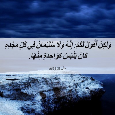 Picture 06 - مَتَّى 6:29 AVD - وَلَكِنْ أَقُولُ لَكُمْ: - Bible Verse Picture
