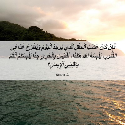 Picture 06 - مَتَّى 6:30 AVD - فَإِنْ كَانَ عُشْبُ - Bible Verse Picture
