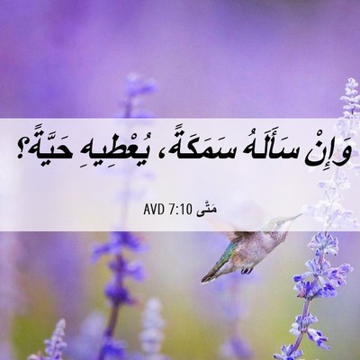 Picture 06 - مَتَّى 7:10 AVD - وَإِنْ سَأَلَهُ سَمَكَةً، - Bible Verse Picture