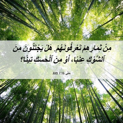 Picture 06 - مَتَّى 7:16 AVD - مِنْ ثِمَارِهِمْ - Bible Verse Picture