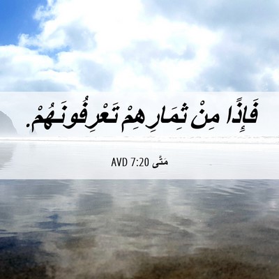 Picture 06 - مَتَّى 7:20 AVD - فَإِذًا مِنْ ثِمَارِهِمْ - Bible Verse Picture