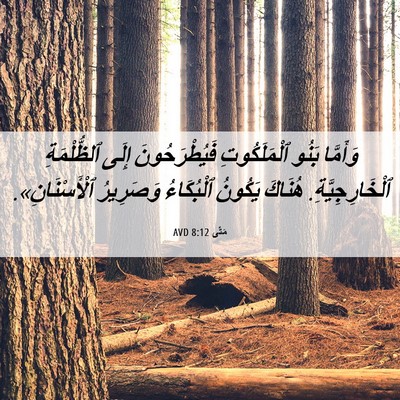 Picture 06 - مَتَّى 8:12 AVD - وَأَمَّا بَنُو - Bible Verse Picture