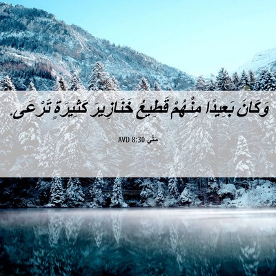 Picture 06 - مَتَّى 8:30 AVD - وَكَانَ بَعِيدًا مِنْهُمْ - Bible Verse Picture