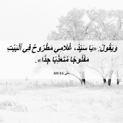 Picture 06 - مَتَّى 8:6 AVD - وَيَقُولُ: «يَا سَيِّدُ، - Bible Verse Picture