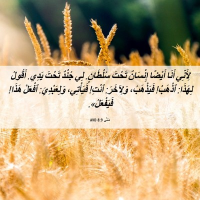 Picture 06 - مَتَّى 8:9 AVD - لِأَنِّي أَنَا أَيْضًا - Bible Verse Picture
