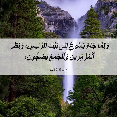 Picture 06 - مَتَّى 9:23 AVD - وَلَمَّا جَاءَ يَسُوعُ - Bible Verse Picture