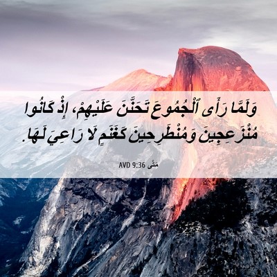 Picture 06 - مَتَّى 9:36 AVD - وَلَمَّا رَأَى ٱلْجُمُوعَ - Bible Verse Picture