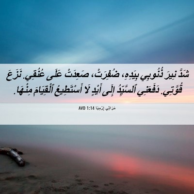 Picture 06 - مَرَاثِي إِرْمِيَا 1:14 AVD - شَدَّ نِيرَ ذُنُوبِي - Bible Verse Picture