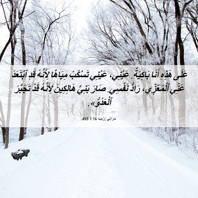Picture 06 - مَرَاثِي إِرْمِيَا 1:16 AVD - عَلَى هَذِهِ أَنَا - Bible Verse Picture