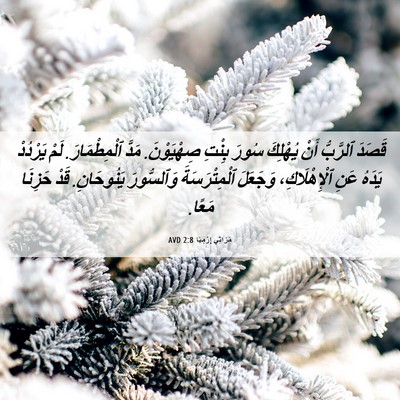 Picture 06 - مَرَاثِي إِرْمِيَا 2:8 AVD - قَصَدَ ٱلرَّبُّ أَنْ - Bible Verse Picture