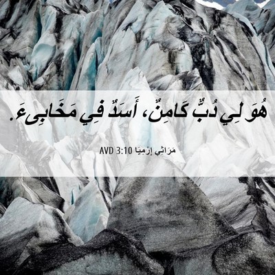 Picture 06 - مَرَاثِي إِرْمِيَا 3:10 AVD - هُوَ لِي دُبٌّ كَامِنٌ، - Bible Verse Picture