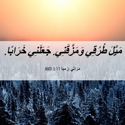 Picture 06 - مَرَاثِي إِرْمِيَا 3:11 AVD - مَيَّلَ طُرُقِي - Bible Verse Picture