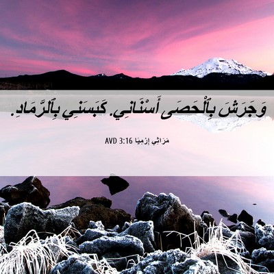 Picture 06 - مَرَاثِي إِرْمِيَا 3:16 AVD - وَجَرَشَ بِٱلْحَصَى - Bible Verse Picture