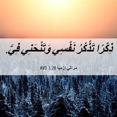 Picture 06 - مَرَاثِي إِرْمِيَا 3:20 AVD - ذِكْرًا تَذْكُرُ نَفْسِي - Bible Verse Picture