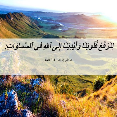 Picture 06 - مَرَاثِي إِرْمِيَا 3:41 AVD - لِنَرْفَعْ قُلُوبَنَا - Bible Verse Picture