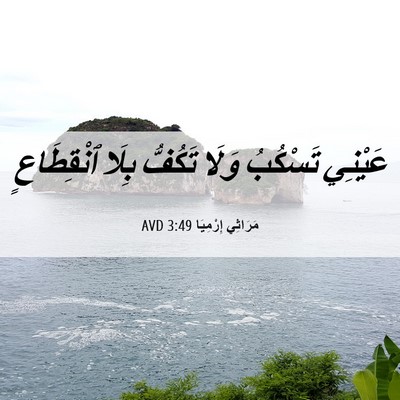 Picture 06 - مَرَاثِي إِرْمِيَا 3:49 AVD - عَيْنِي تَسْكُبُ وَلَا - Bible Verse Picture