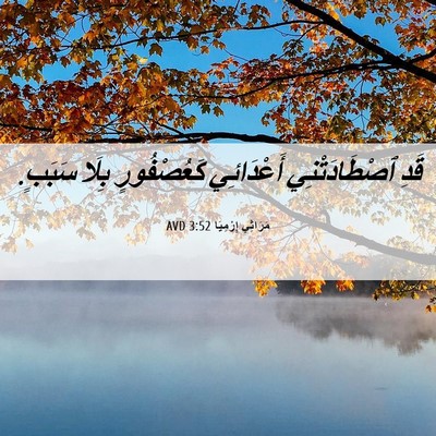 Picture 06 - مَرَاثِي إِرْمِيَا 3:52 AVD - قَدِ ٱصْطَادَتْنِي - Bible Verse Picture
