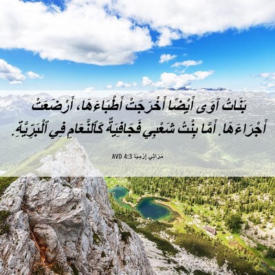 Picture 06 - مَرَاثِي إِرْمِيَا 4:3 AVD - بَنَاتُ آوَى أَيْضًا - Bible Verse Picture