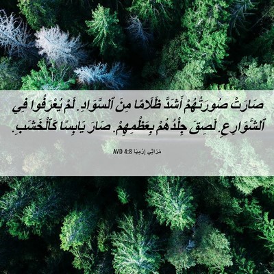 Picture 06 - مَرَاثِي إِرْمِيَا 4:8 AVD - صَارَتْ صُورَتُهُمْ - Bible Verse Picture