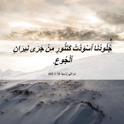 Picture 06 - مَرَاثِي إِرْمِيَا 5:10 AVD - جُلُودُنَا ٱسْوَدَّتْ - Bible Verse Picture