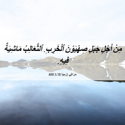 Picture 06 - مَرَاثِي إِرْمِيَا 5:18 AVD - مِنْ أَجْلِ جَبَلِ - Bible Verse Picture