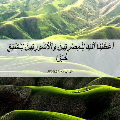 Picture 06 - مَرَاثِي إِرْمِيَا 5:6 AVD - أَعْطَيْنَا ٱلْيَدَ - Bible Verse Picture