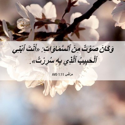 Picture 06 - مَرْقُس 1:11 AVD - وَكَانَ صَوْتٌ مِنَ - Bible Verse Picture