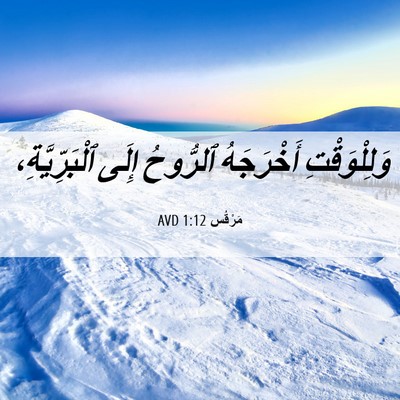 Picture 06 - مَرْقُس 1:12 AVD - وَلِلْوَقْتِ أَخْرَجَهُ - Bible Verse Picture
