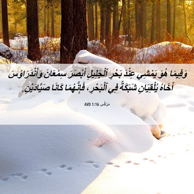 Picture 06 - مَرْقُس 1:16 AVD - وَفِيمَا هُوَ يَمْشِي - Bible Verse Picture