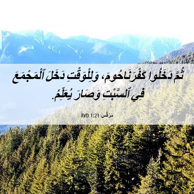 Picture 06 - مَرْقُس 1:21 AVD - ثُمَّ دَخَلُوا - Bible Verse Picture